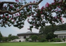 배롱나무꽃과 흰구름, 원불교역사박물관
